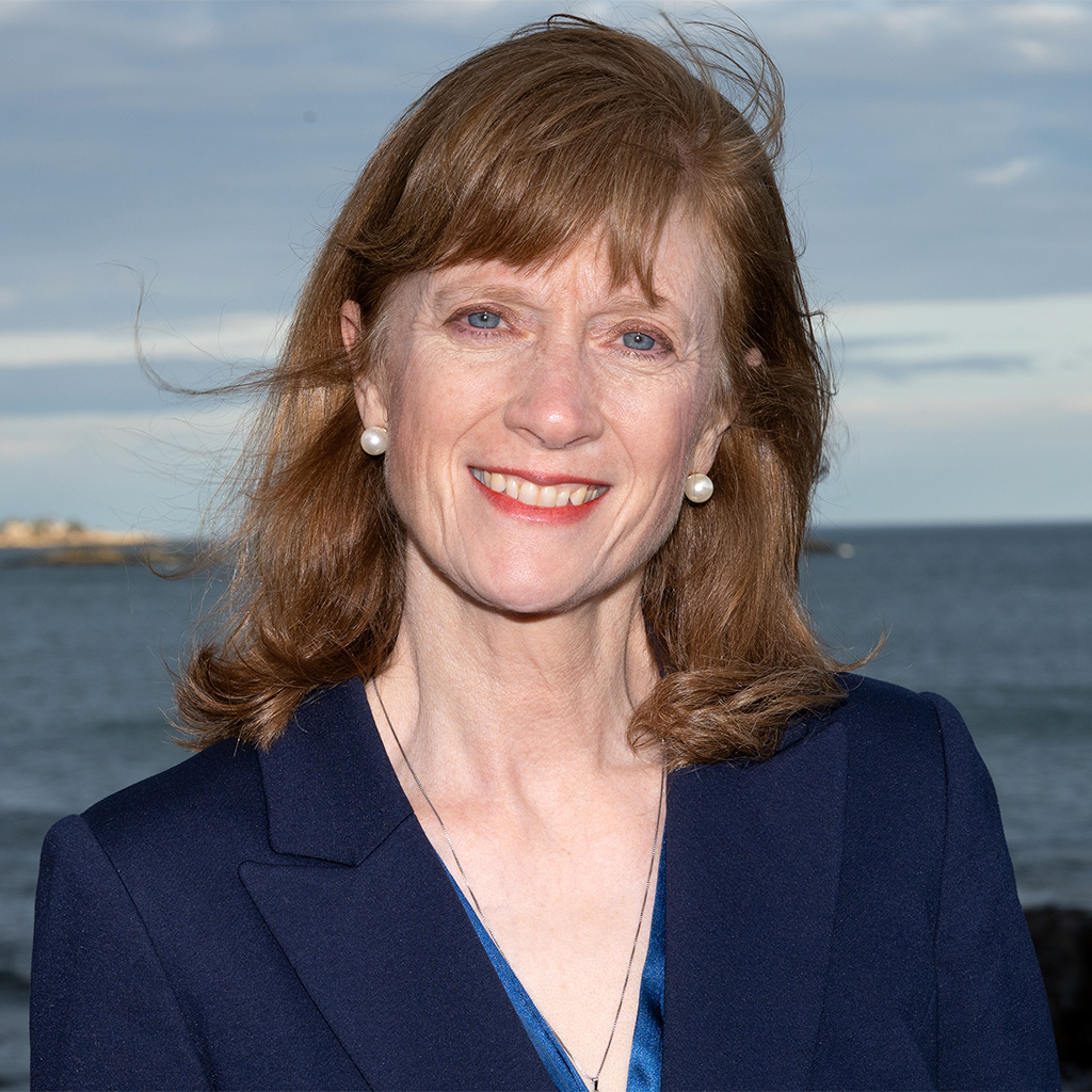 Immigration attorney Diann Slavit Baylis wants Governor’s Council seat to appoint better judges