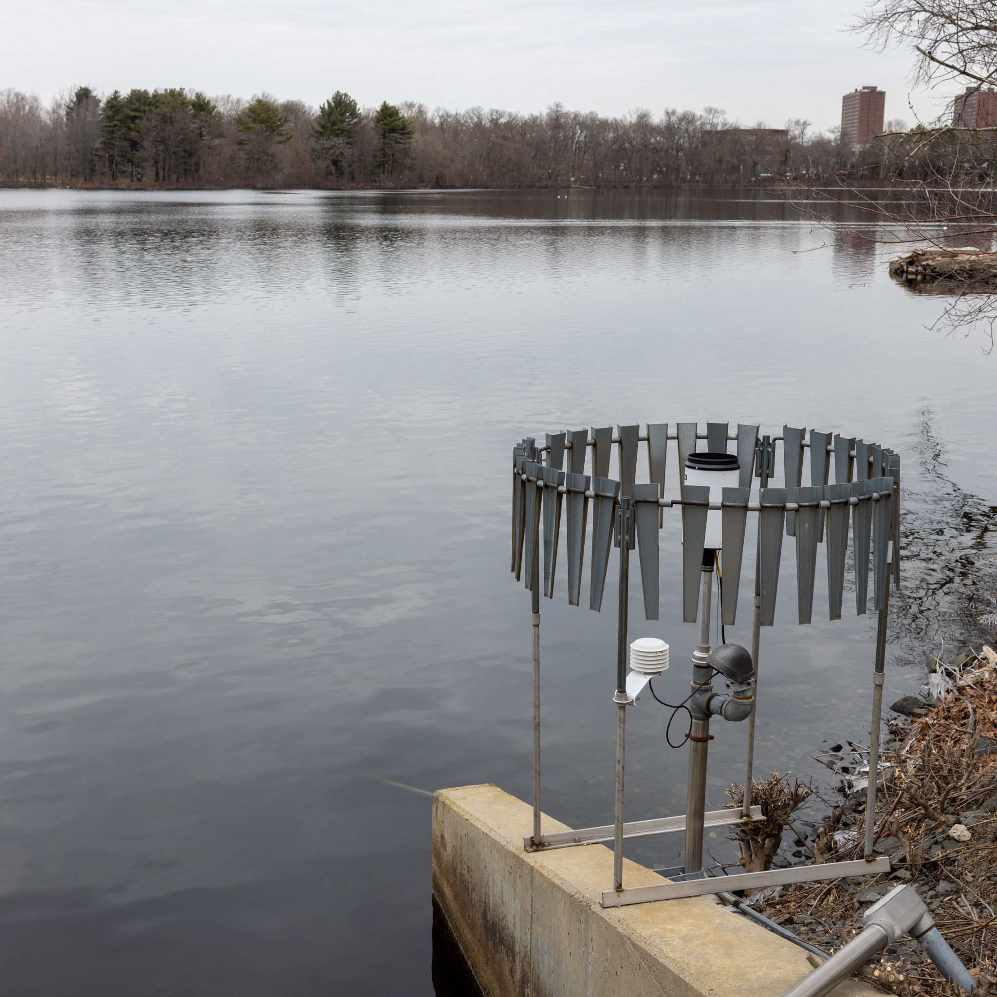 What’s really in Cambridge’s tap water? 