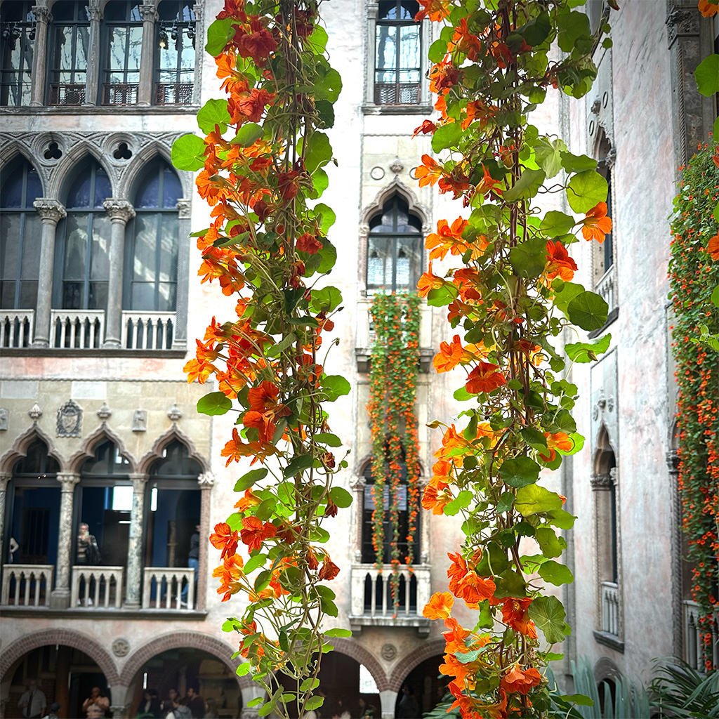 Edible flowers: Beautiful and, naturally, delicious (so long as you choose the safe ones)