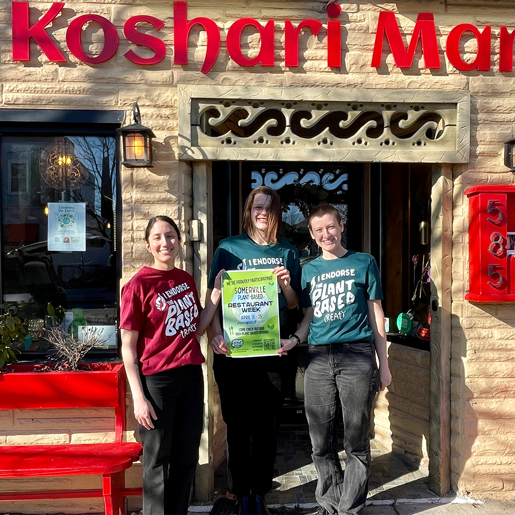 Somerville Plant-Based Restaurant Week has dishes and deals to help savor saving the Earth