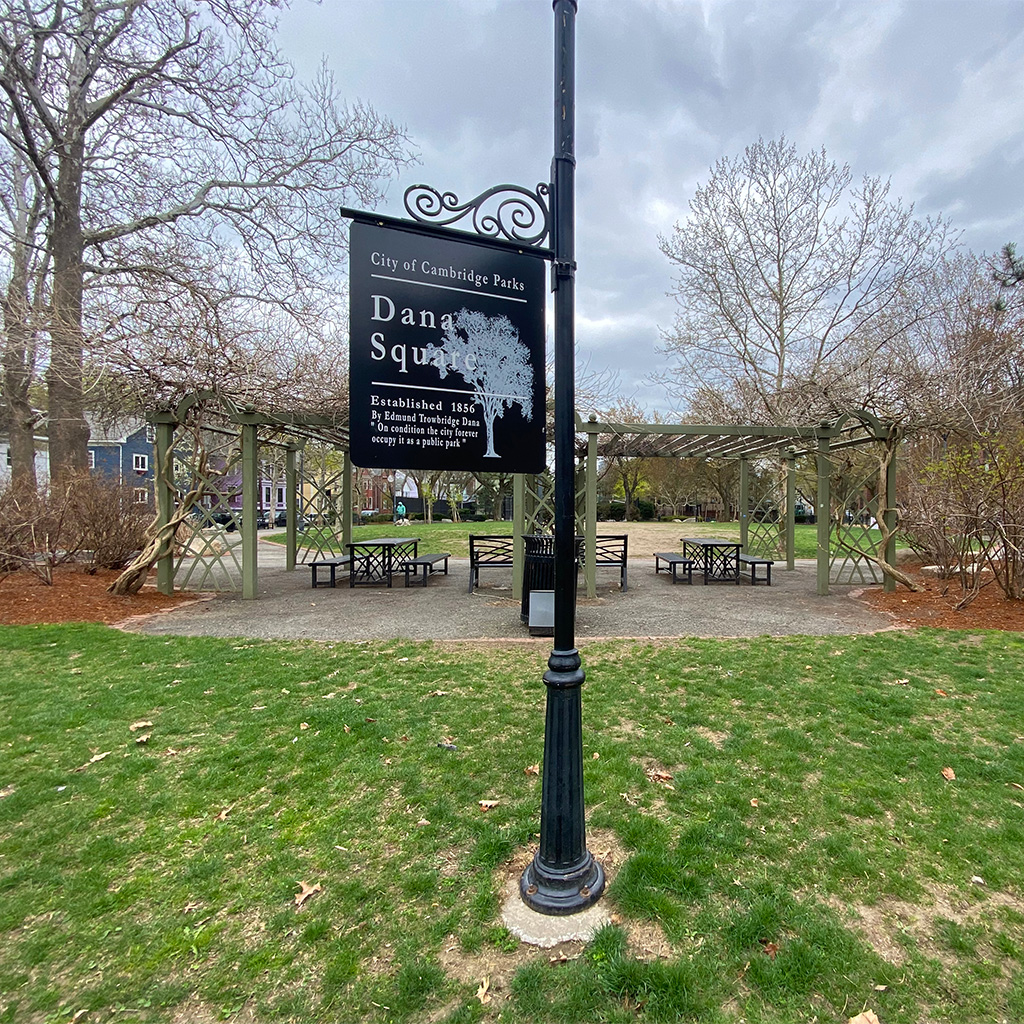 Save Dana Park turns a public space into a game board May 30
